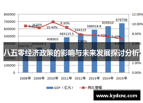 八五零经济政策的影响与未来发展探讨分析