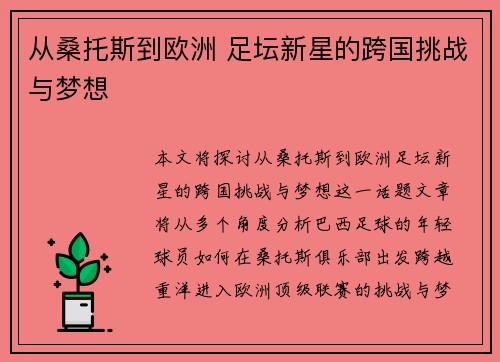 从桑托斯到欧洲 足坛新星的跨国挑战与梦想