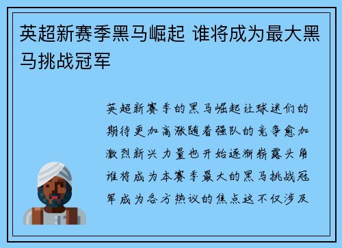 英超新赛季黑马崛起 谁将成为最大黑马挑战冠军